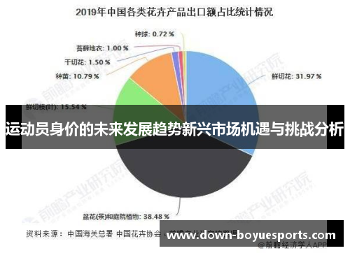 运动员身价的未来发展趋势新兴市场机遇与挑战分析 运动员身价的未来发展趋势新兴市场机遇与挑战分析